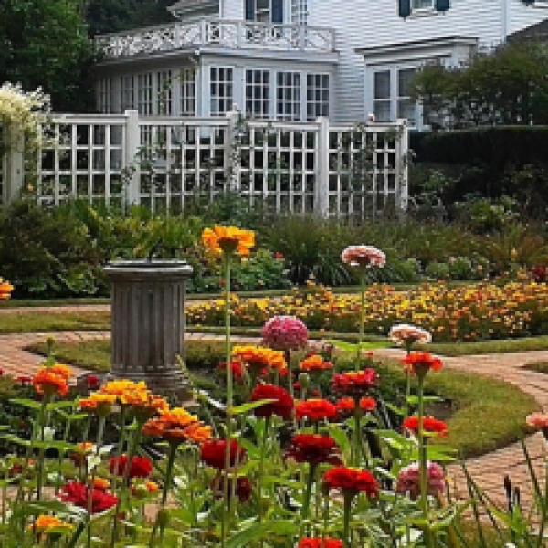 Flower Power Enfield Ct Best Flower Site